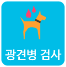 광견병 검사