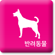 반려동물 제품소개 바로가기