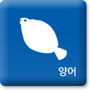 양어 제품소개 바로가기