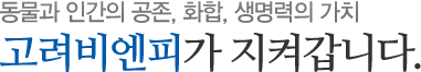 동물과 인간의 공존, 화합, 생명력의 가치 고려비엔피가 지켜갑니다.